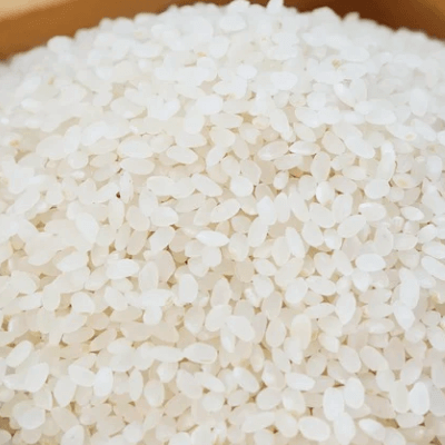 쌀 10kg 가격 비교